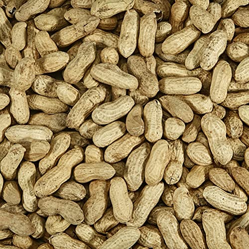 Two 5 Pound Bags Peanuts in Shell for Wild Birds C613905