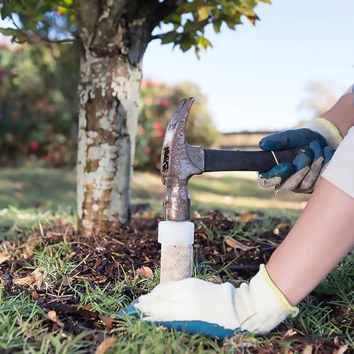 15 Count Slow Release Fertilizer Spikes for Fruit and Citrus Plants P37834