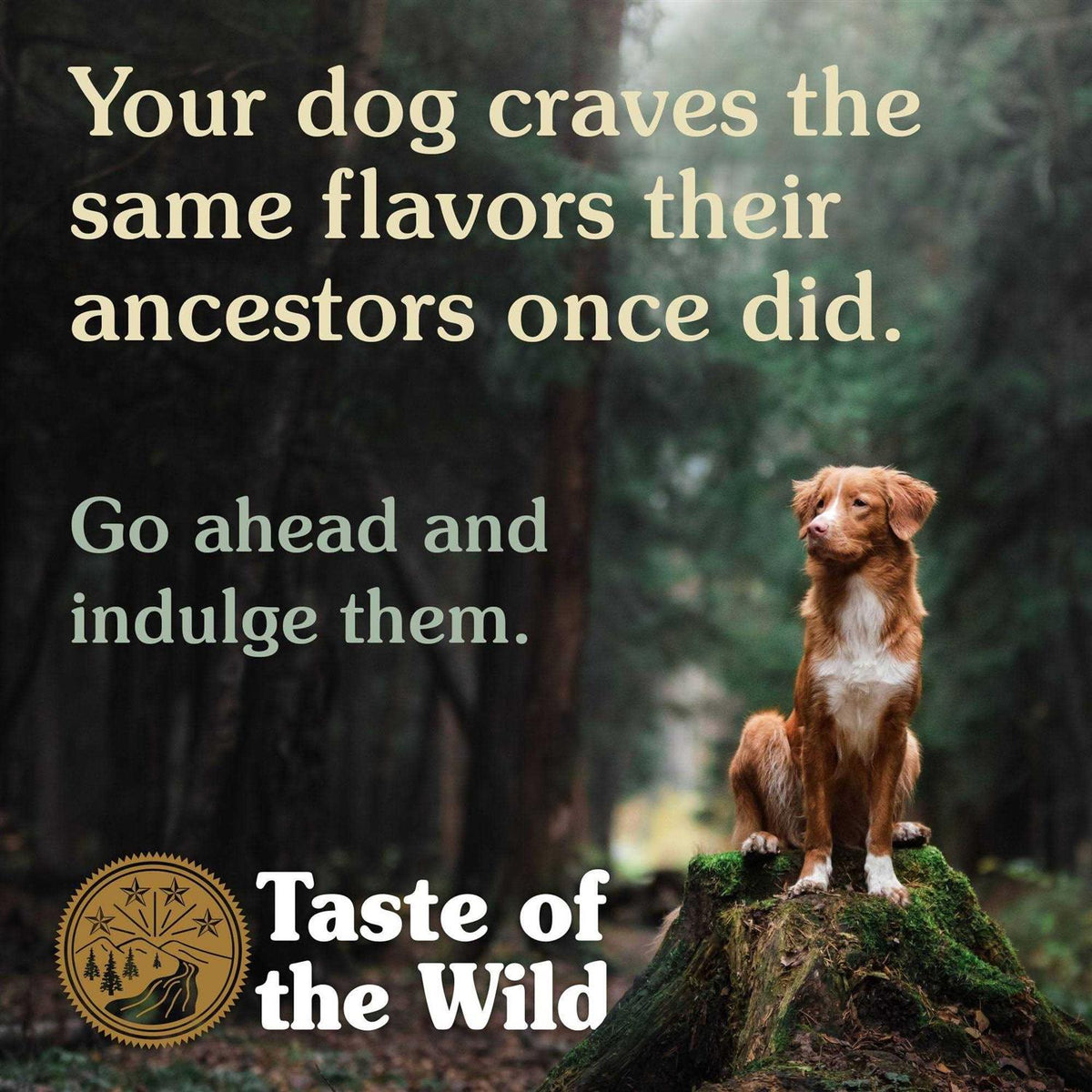 Lamb Dog Food P5359