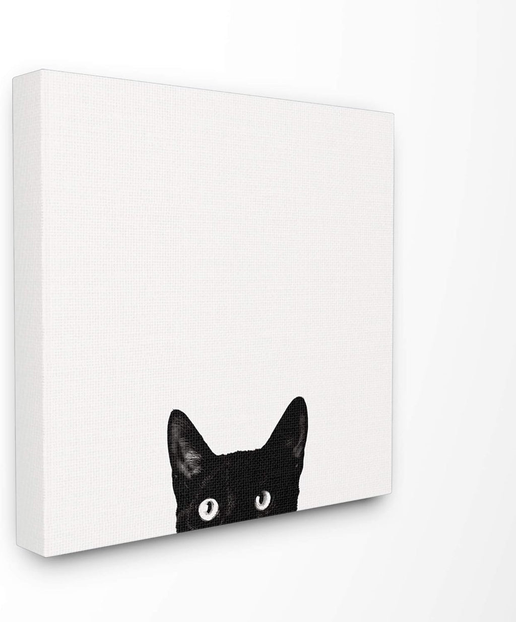 Black Cat Canvas Wall Art, 24 x 24 W8800