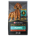 Sensitive Skin & Stomach Dry Puppy Food G639413