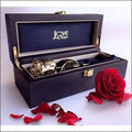 24 Karat Gold Dipped Natural Rose U2067