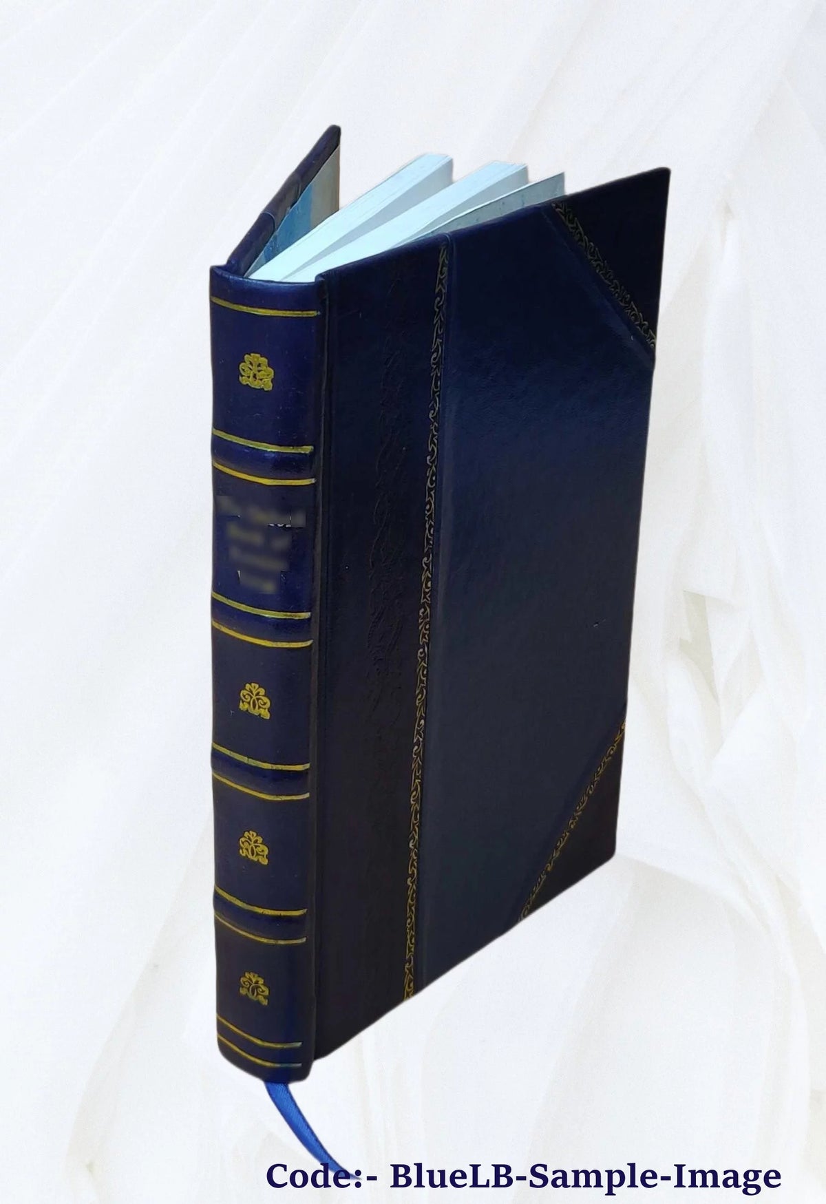 Leather Bound Book C586