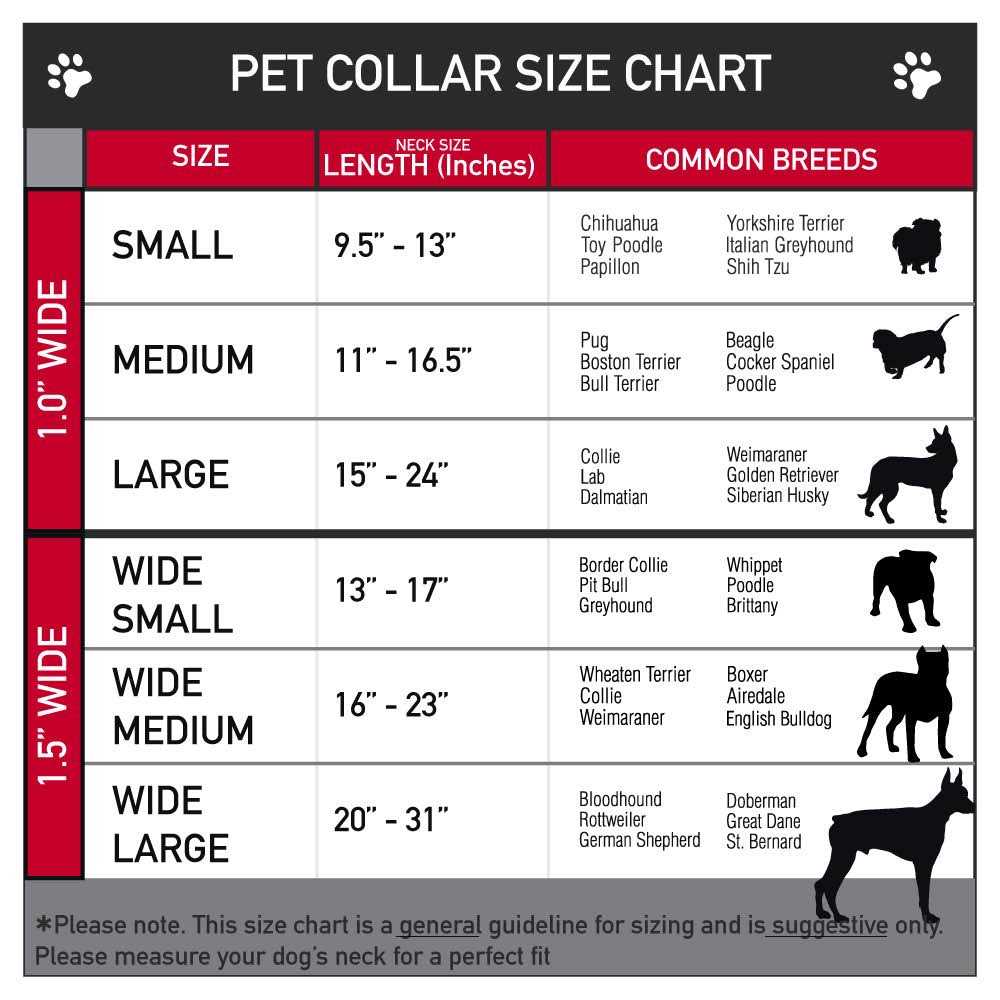 Dog Collar Seatbelt Buckle O82523