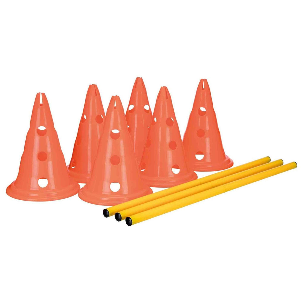 Dog Agility Hurdle Cone Set J245438
