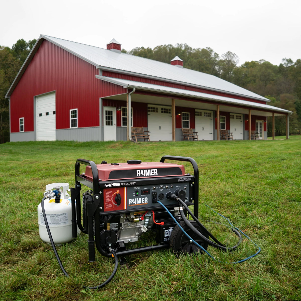 12000 Peak Watt Dual Fuel Portable Generator with Electric Start X103895
