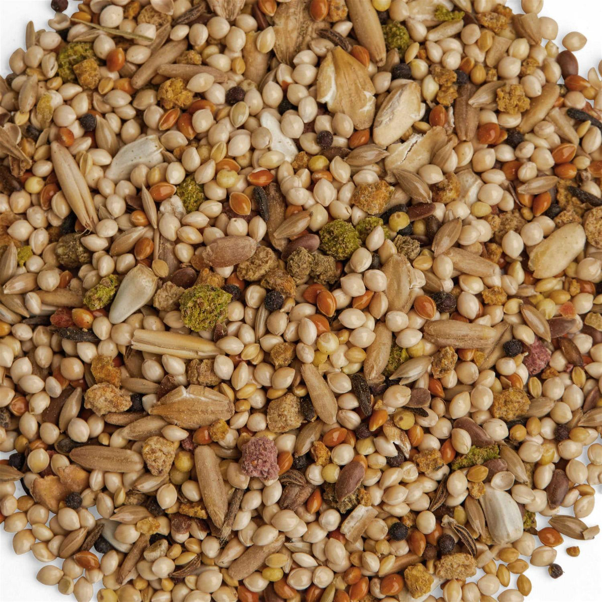 Parakeet Diet E5253