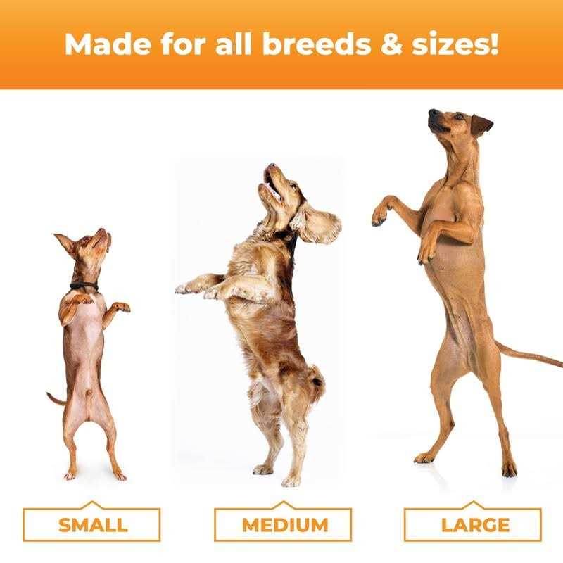 Dog Supplements T967