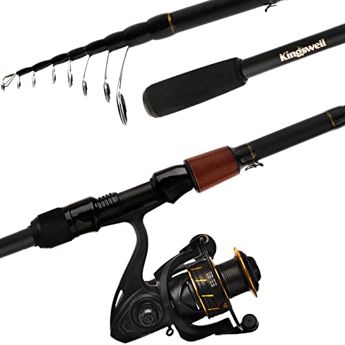 Telescopic Graphite Carbon Fishing Rod and Reel Combo C75929