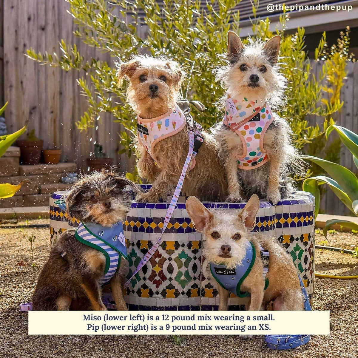 Reversible Harness N886
