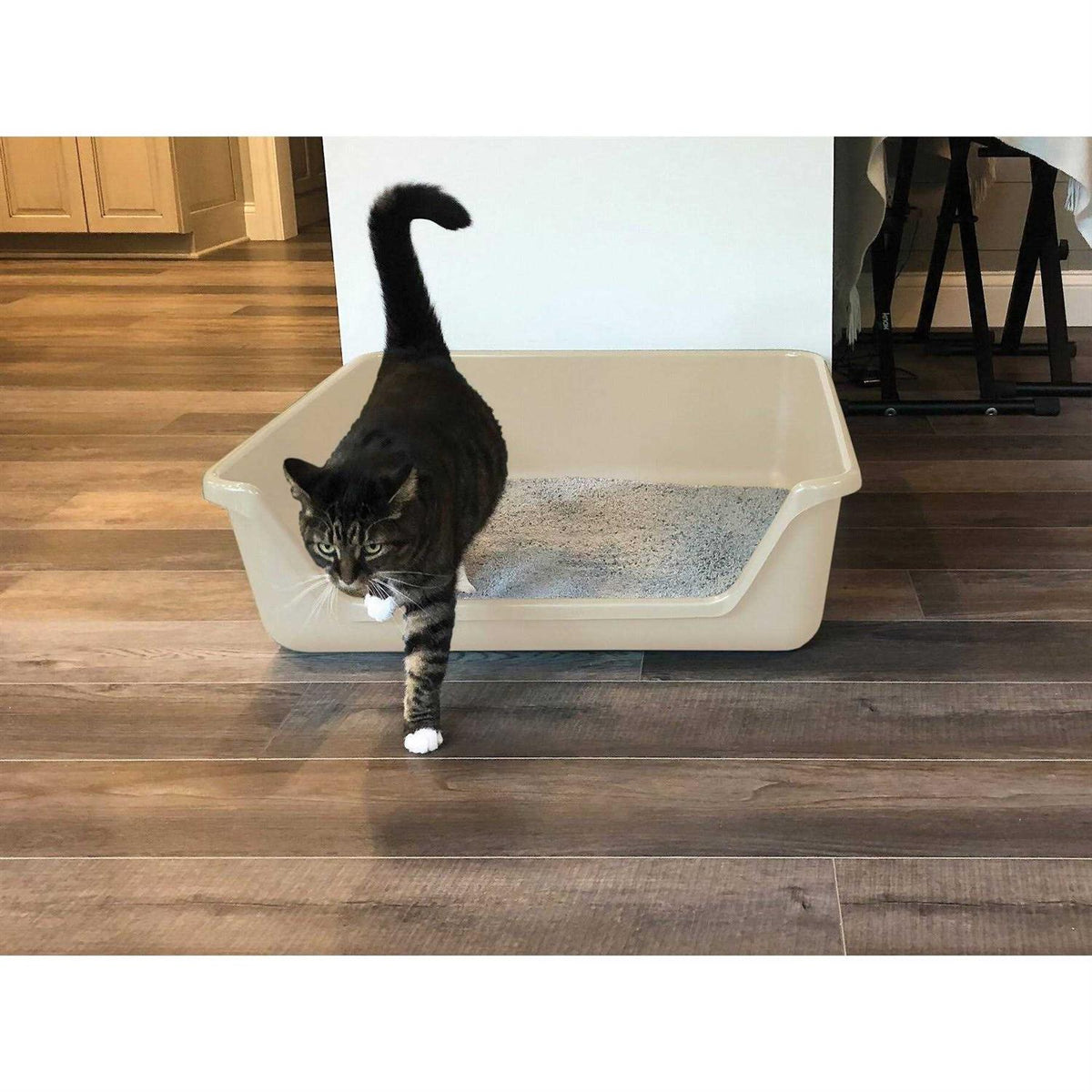 Senior Cat Litter Box R9399