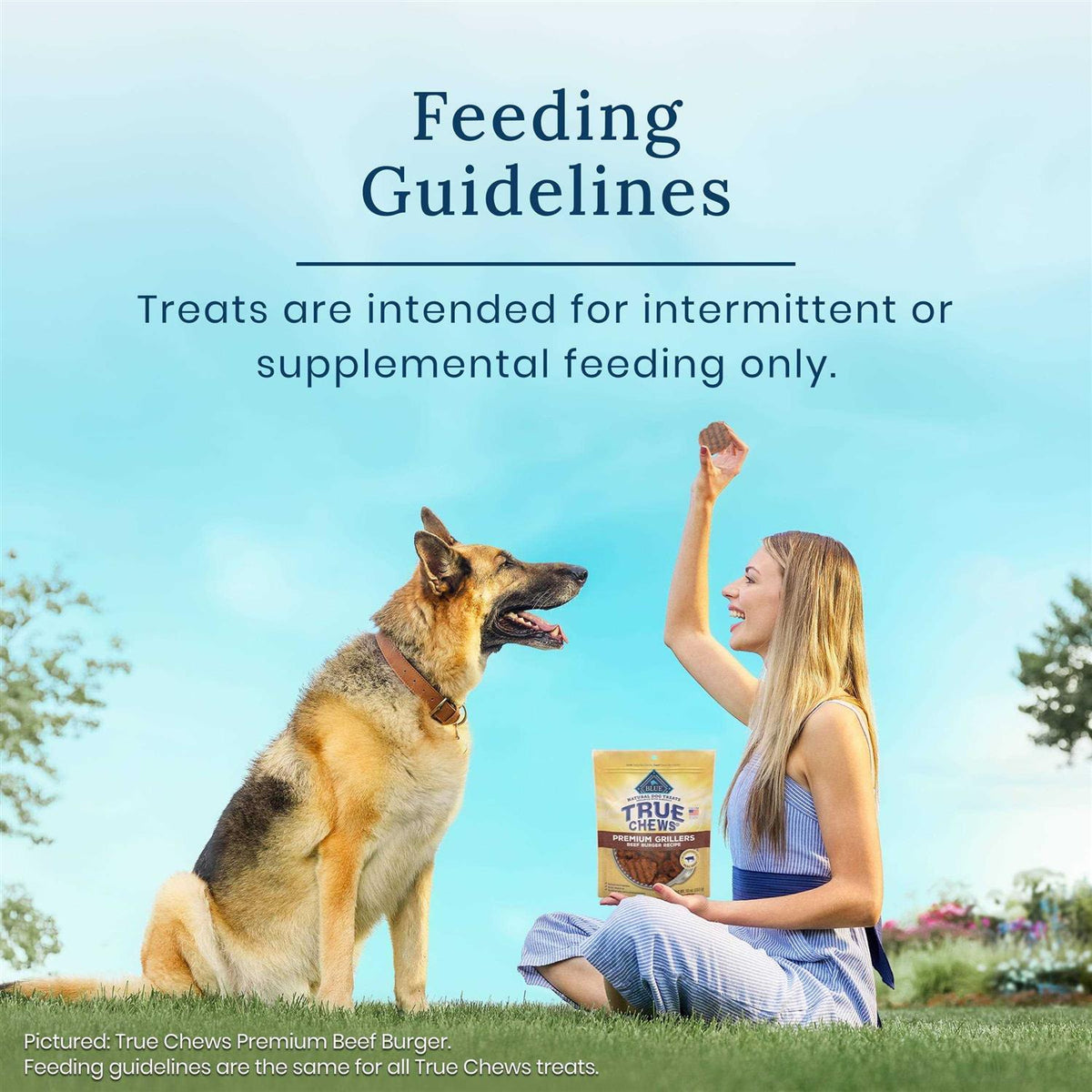 Natural Steak Dog Treats L150366