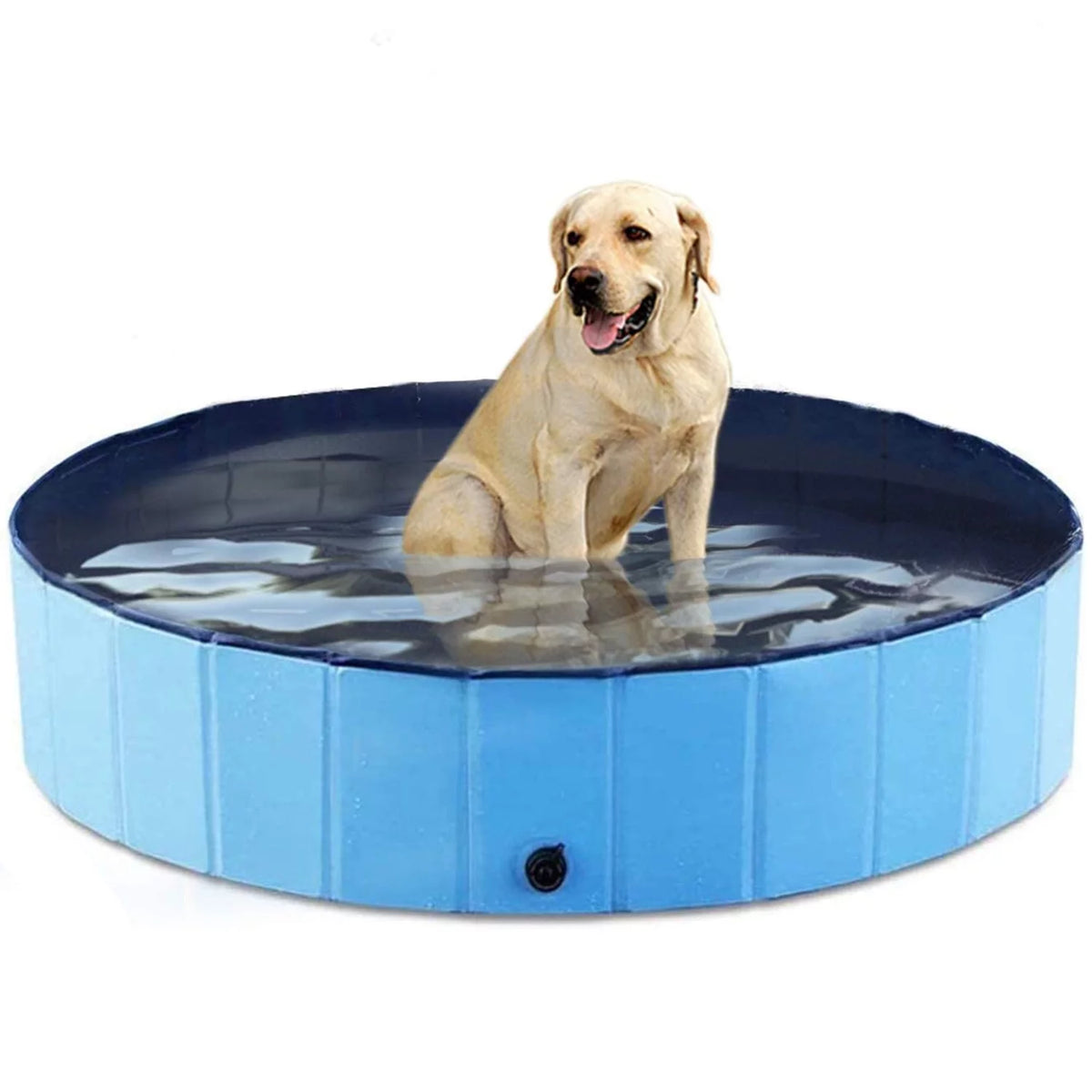 48 x 12 inch Collapsible Blue Pet Pool C966368