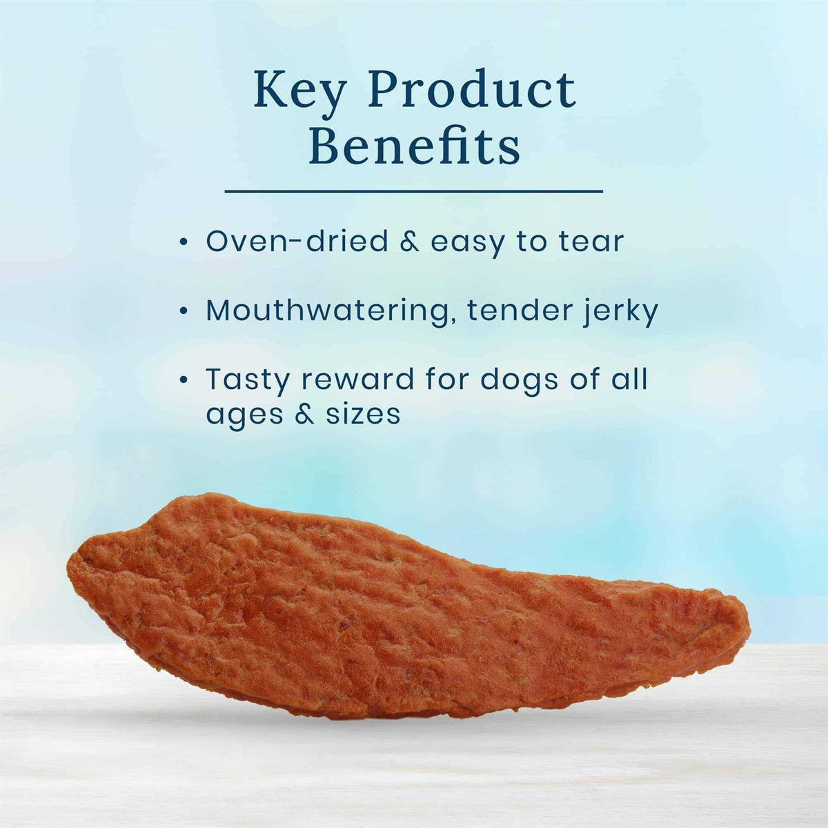 Natural Steak Dog Treats L150366
