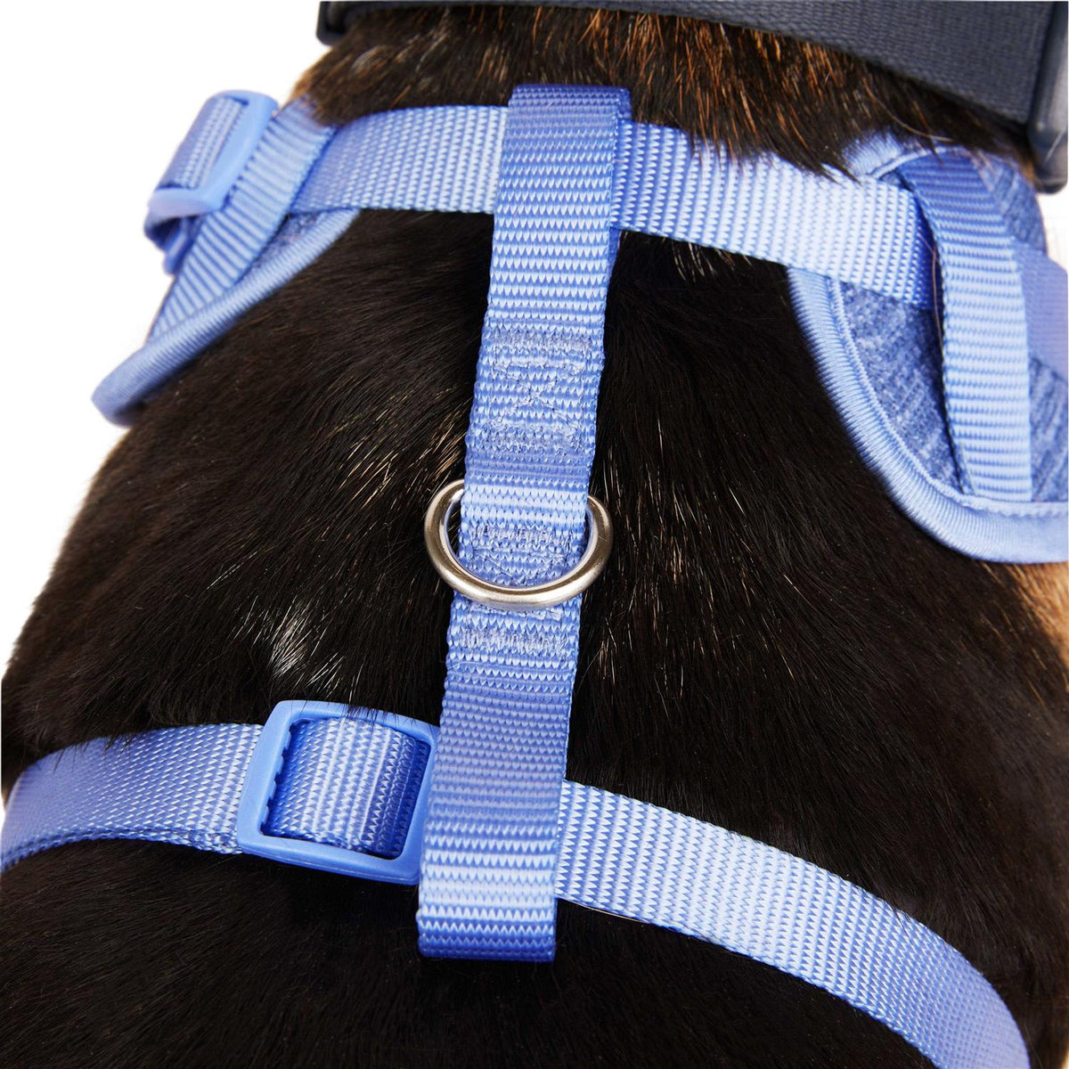 Heather Pullover Dog Harness U894831