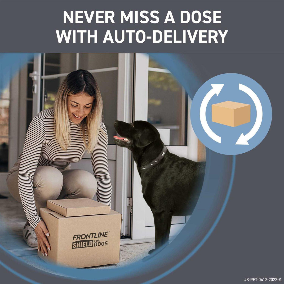 Flea & Tick Treatment for Dogs D2578
