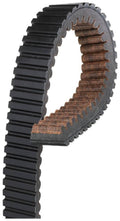 Carbon Drive Belt C61362
