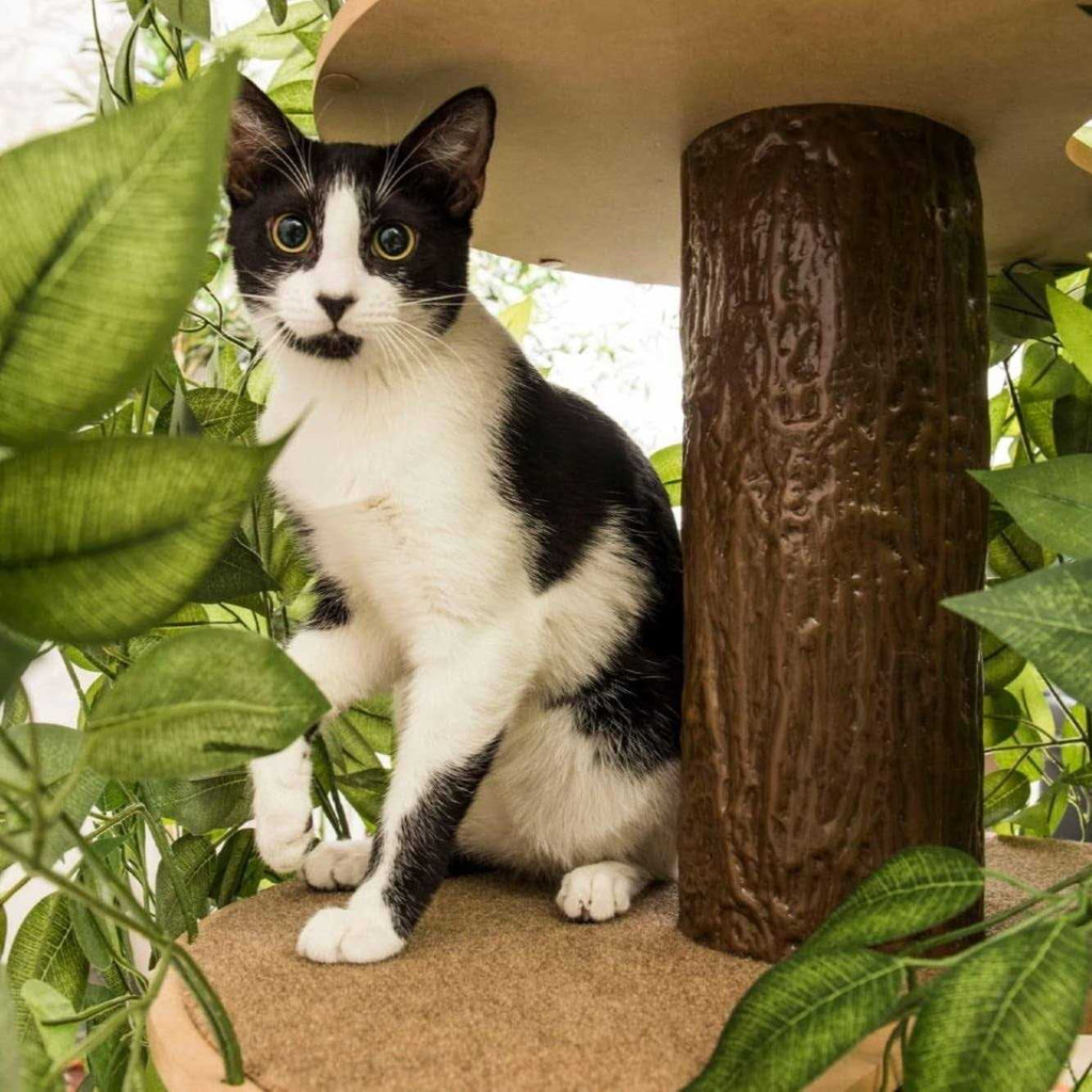 Cat Tree with Leaves Cat House Cat Activity Tree V195430
