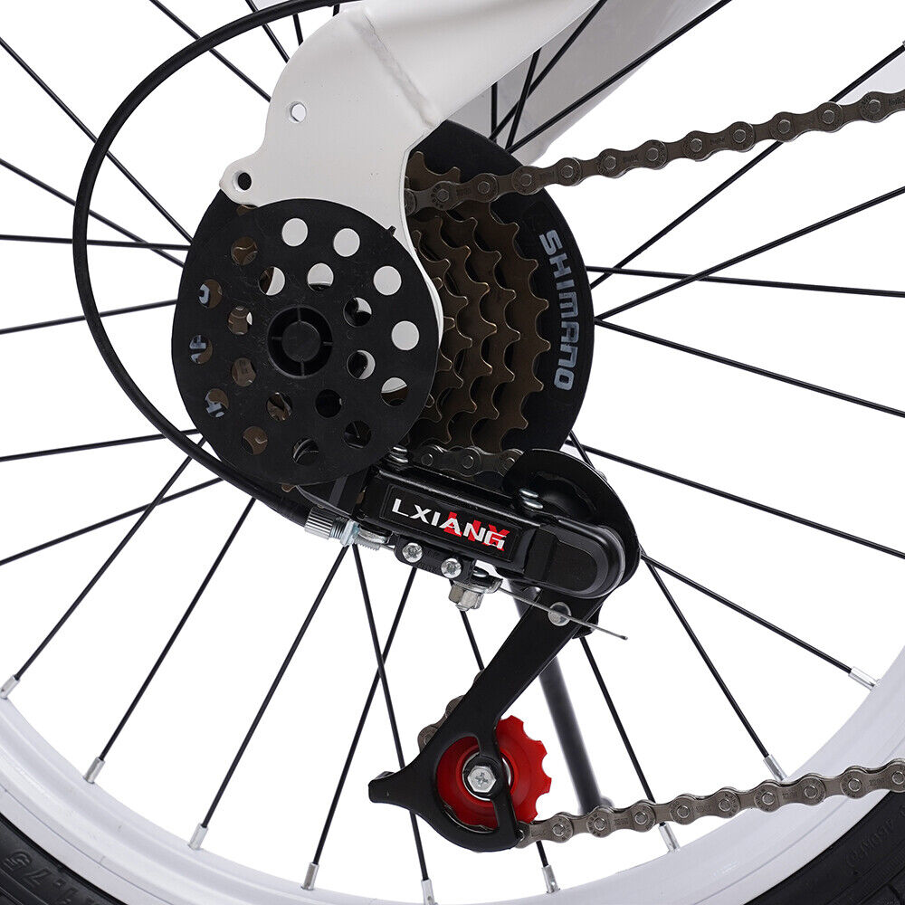 20'' Folding Bicycle 7 Speed Double V Brake D760