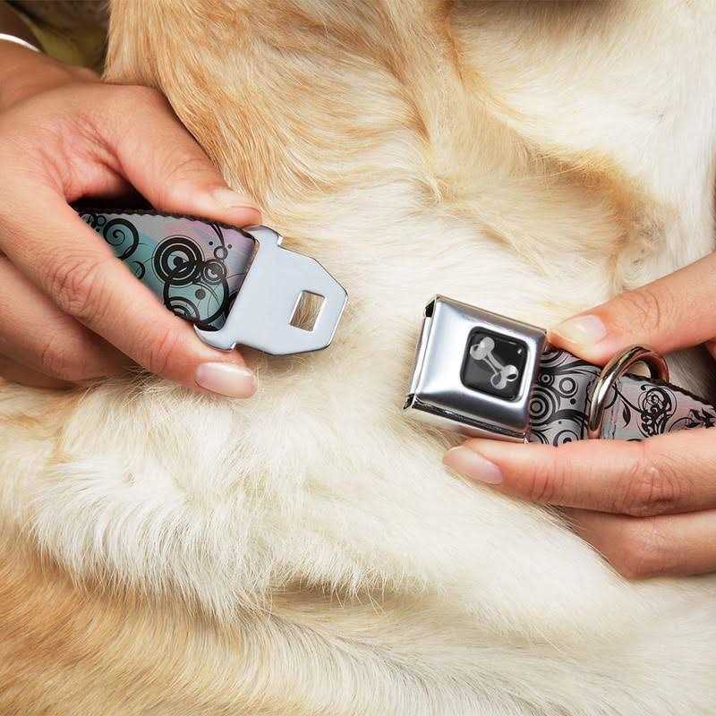 Dog Collar Seatbelt Buckle O82523
