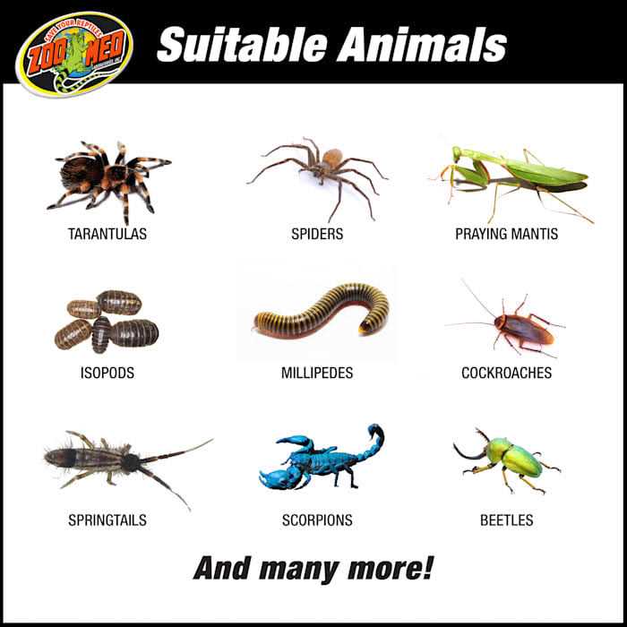 Creatures Habitat Kit V313