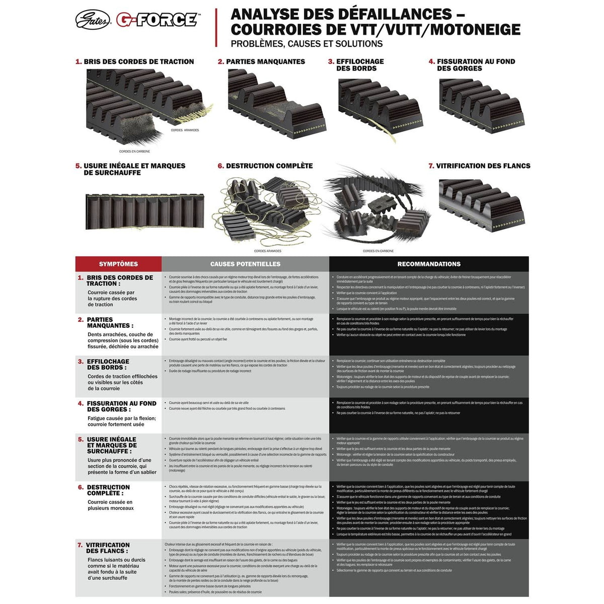 Carbon Drive Belt C61362