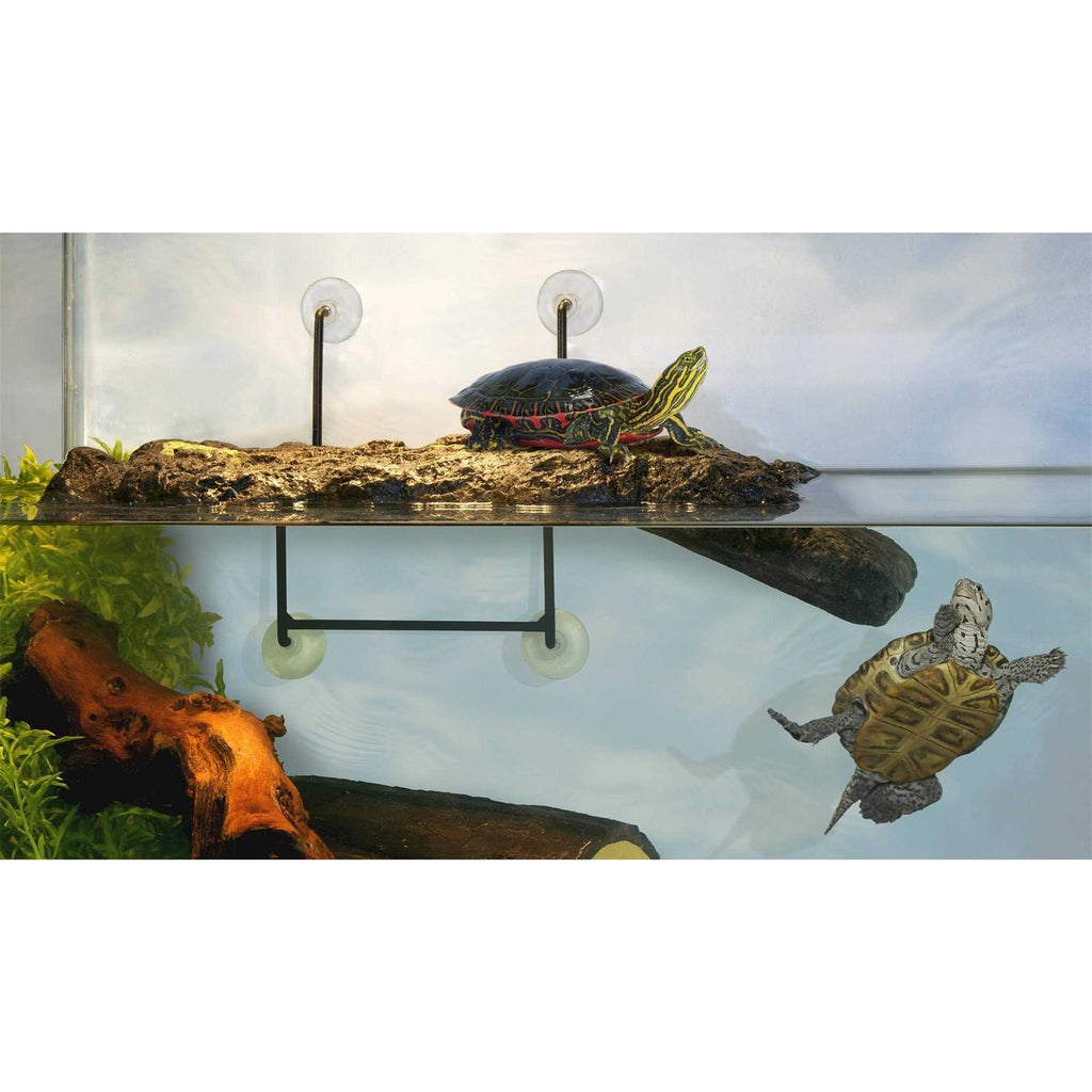 Turtle Dock V10281