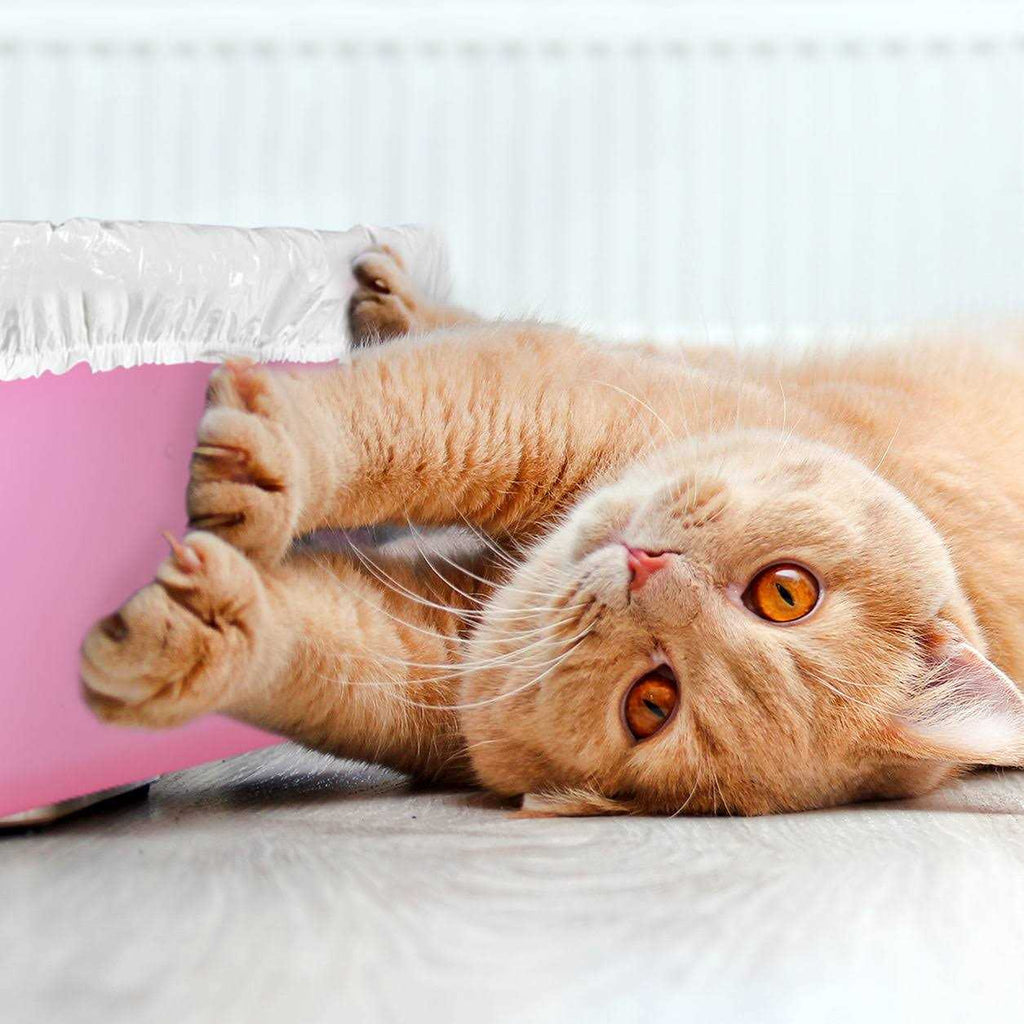Cat Litter Box Disposable Elastic Liners M864150