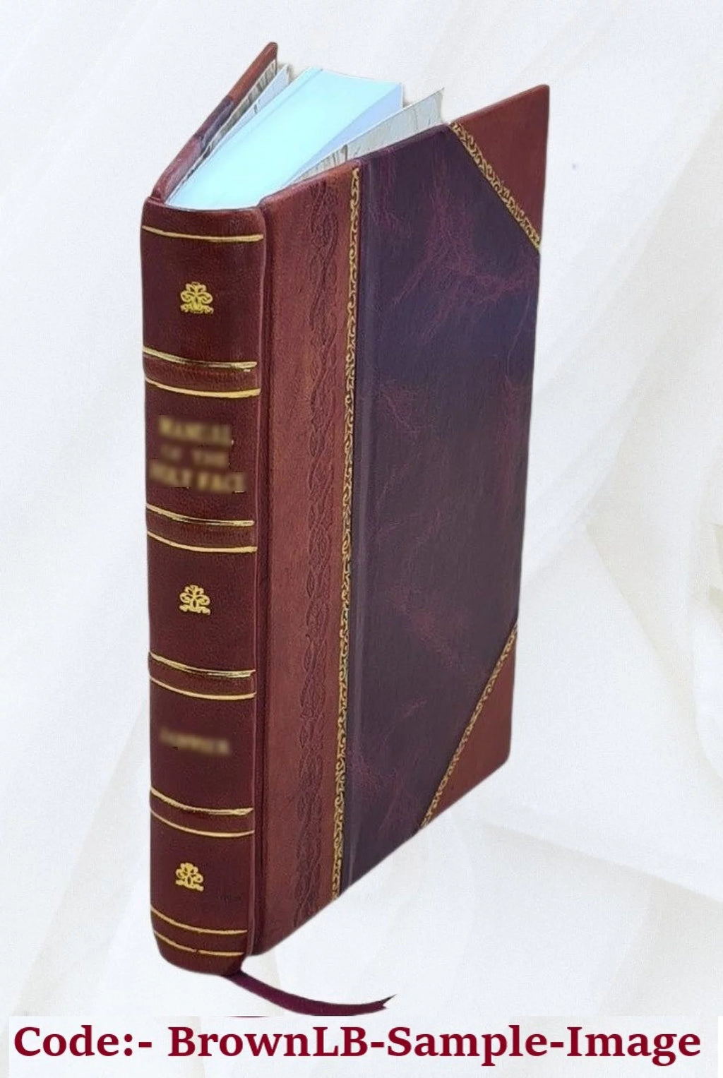 Leather Bound C643107