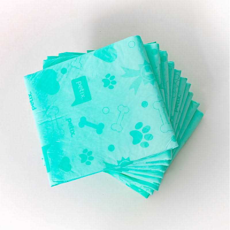 Dog Pads I12798