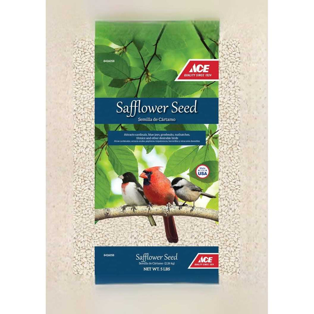 Safflower N284