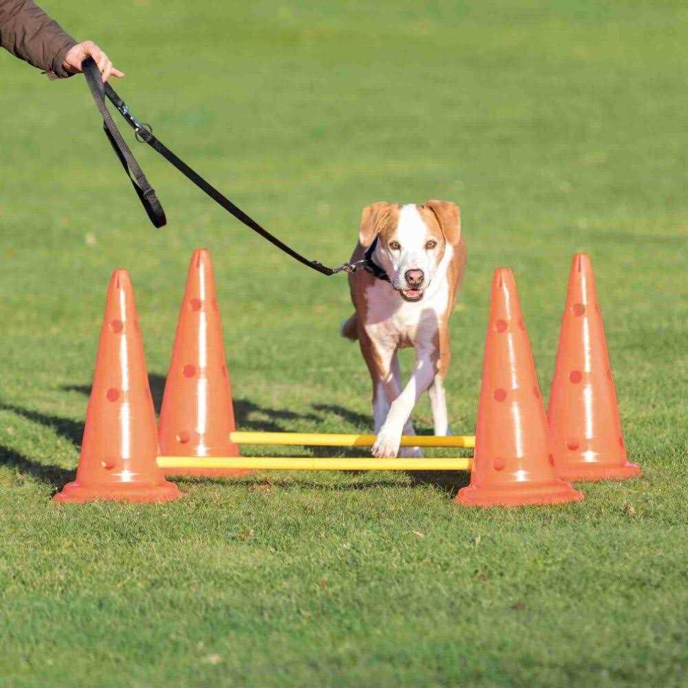 Dog Agility Hurdle Cone Set J245438