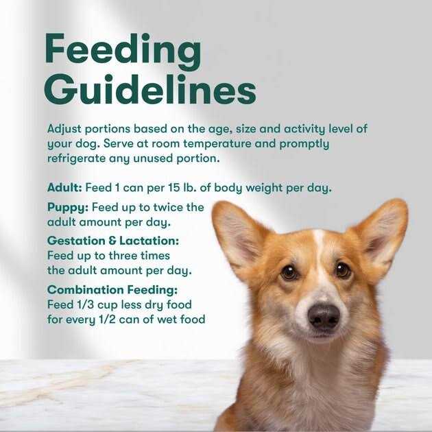 Grain-Free Sweet Potato Wet Dog Food H54996