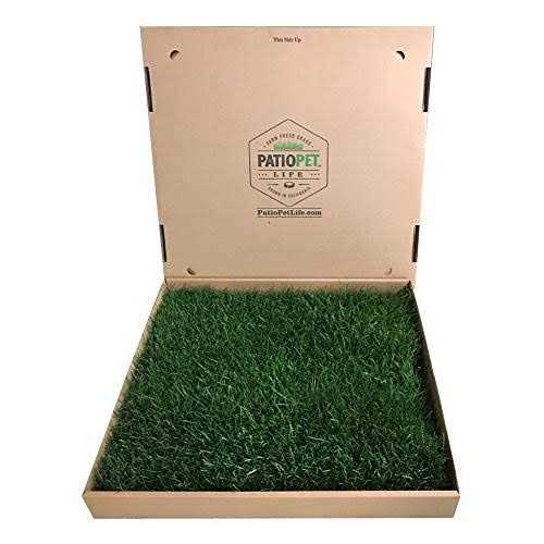 Real Grass Potty C41765