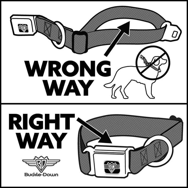 Dog Collar Seatbelt Buckle O82523