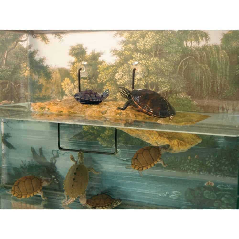 Turtle Dock V10281