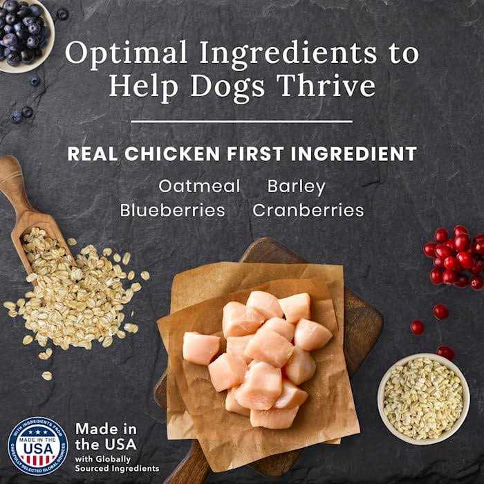 Senior Chicken Dry Dog Food C152