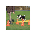 Dog Agility Hurdle Cone Set J245438