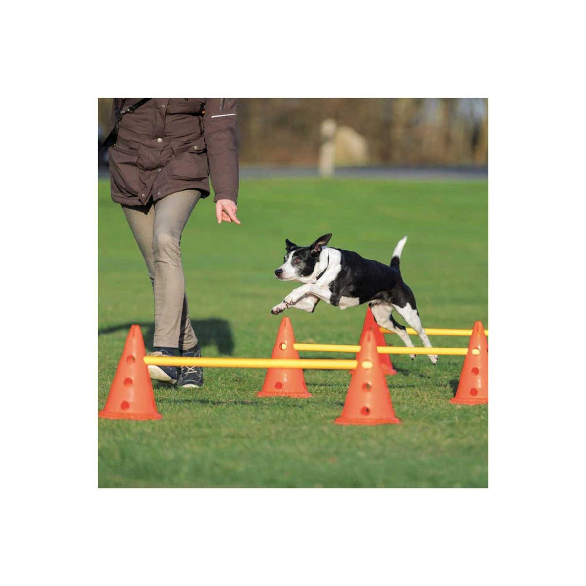 Dog Agility Hurdle Cone Set J245438
