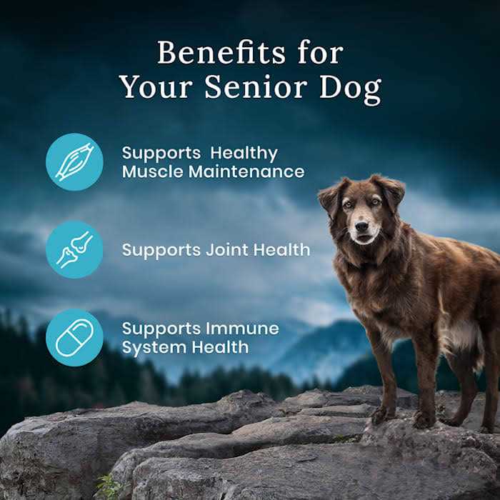 Senior Chicken Dry Dog Food C152