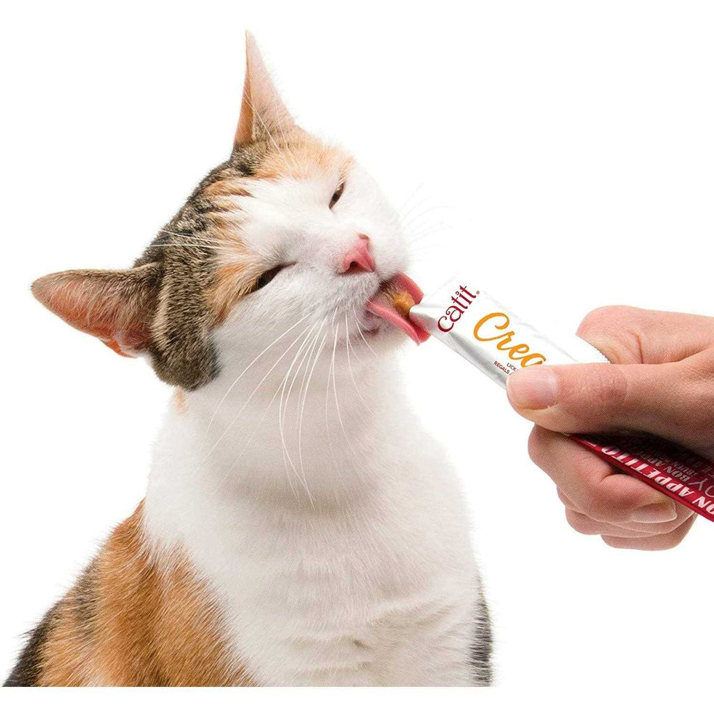 Cat W2384