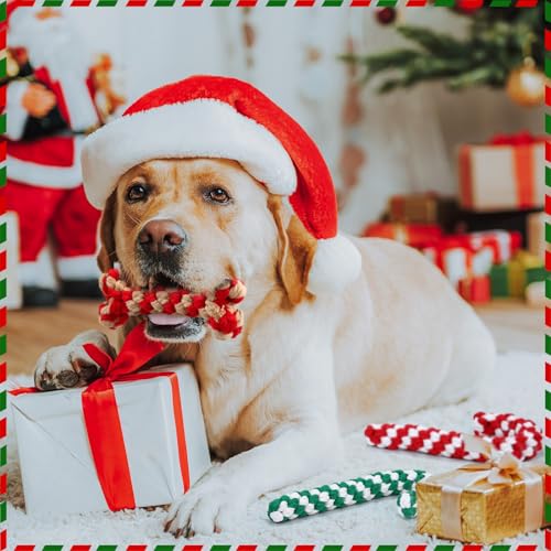 32 Pieces Dog Christmas Chew Toys U229