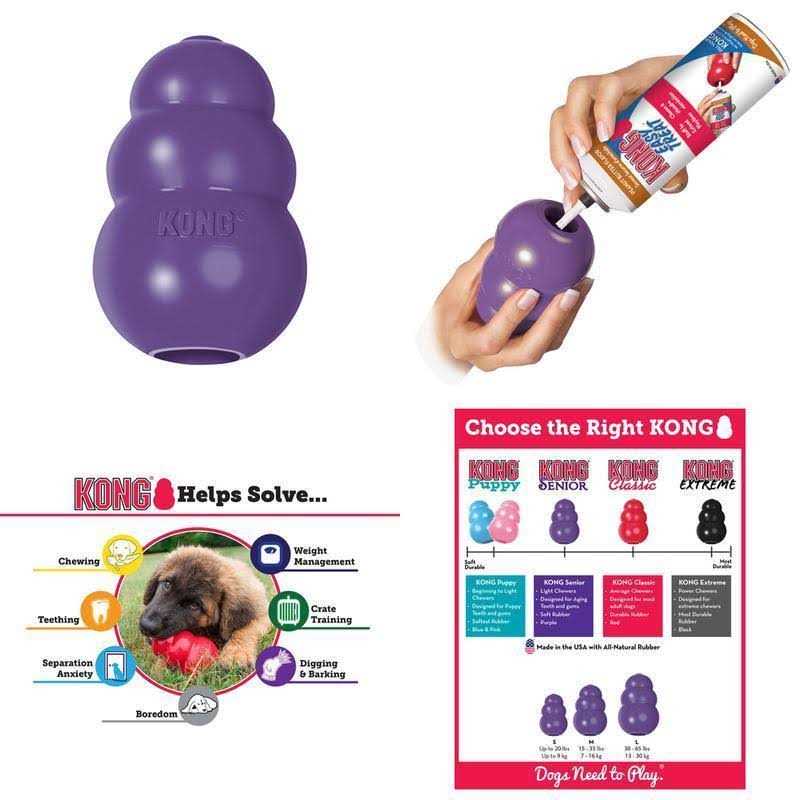 Senior Dog Toy L76969