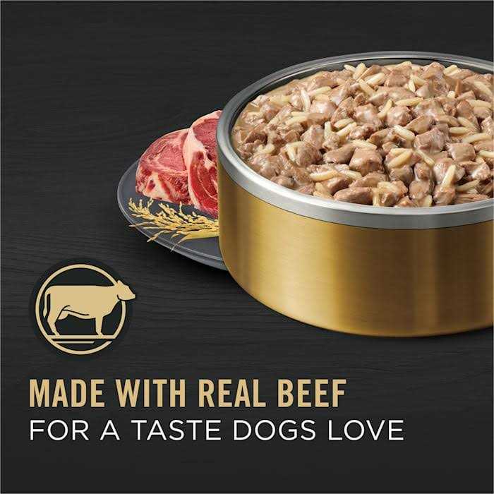 Senior Wet Dog Food Beef & Rice Gravy Entree W5439