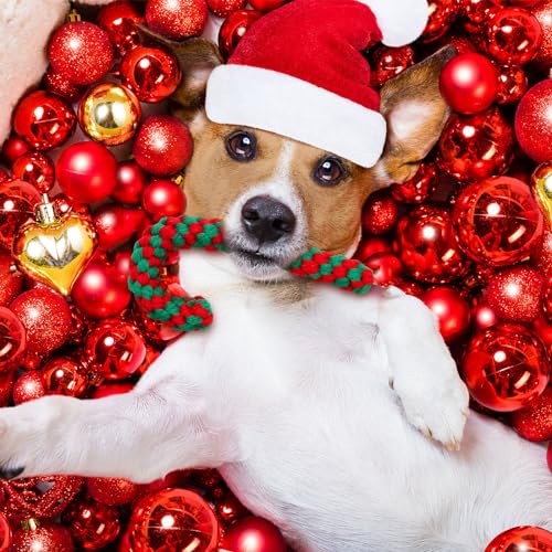 32 Pieces Dog Christmas Chew Toys U229