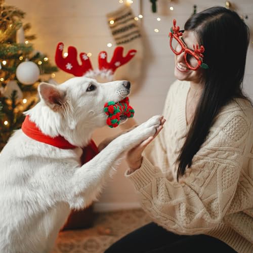 32 Pieces Dog Christmas Chew Toys U229