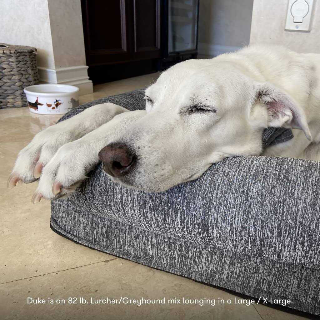 Washable Dog Bed Y3530