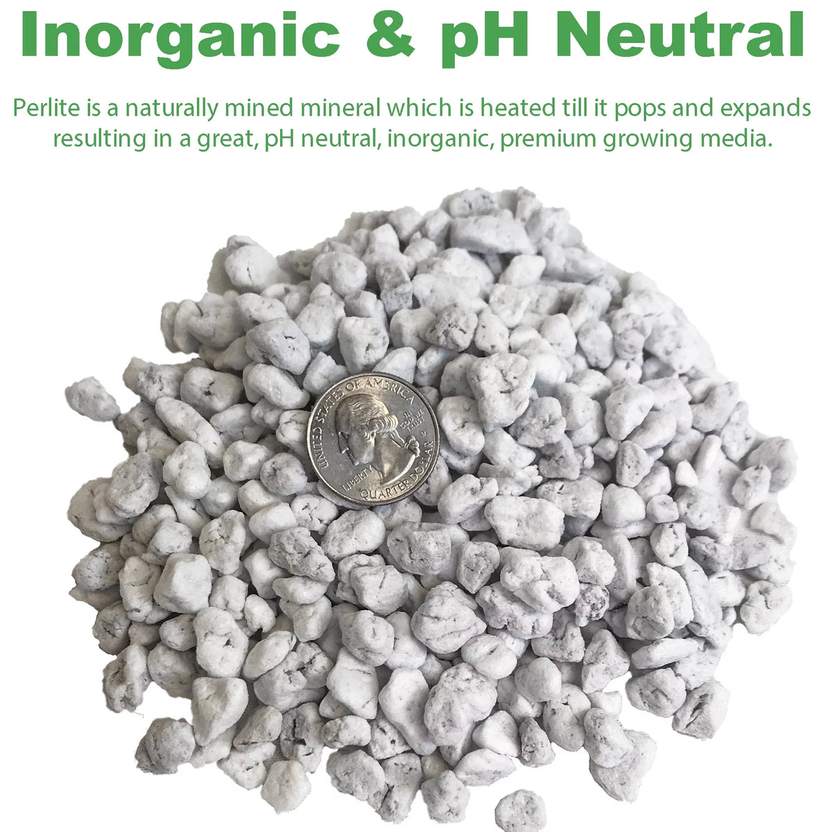 Coarse and Chunky Perlite 29.9 Quarts X447469
