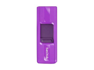 8 GB USB 2.0 Purple USB Flash Drive L529