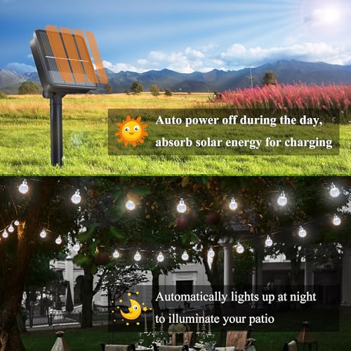Purple Solar String Lights with 8 Modes C813